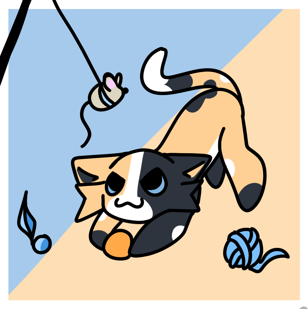 Cat Toys